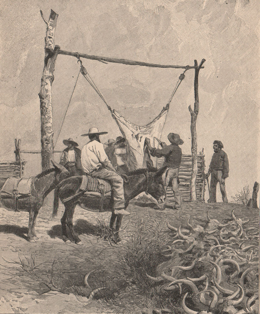 Shambles in Texas. United States 1885 old antique vintage print picture